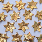 VDEAL LACE gota star phool [100pcs]